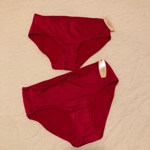 BNWT Victoria's Secret Panty x 2 NEW